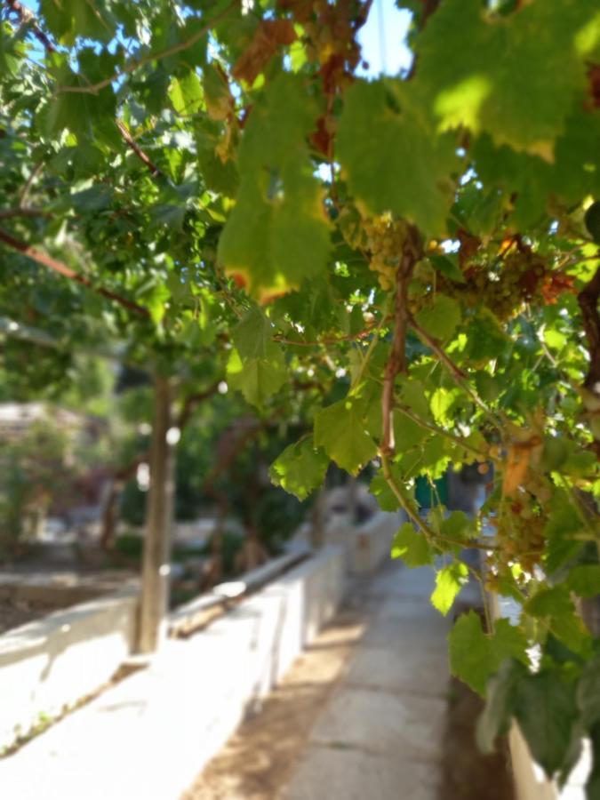 Stone Oasis Vito Daire Dubrovnik Dış mekan fotoğraf