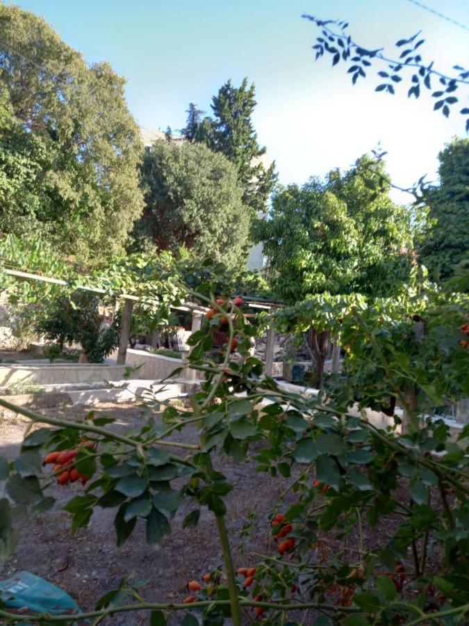 Stone Oasis Vito Daire Dubrovnik Dış mekan fotoğraf
